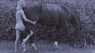 Outdoor XXX Movies